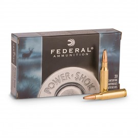 Federal .300 Win. Mag. 180gr Soft Point