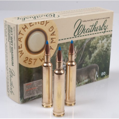 Weatherby .340WBY Mag. Nosler Ballistic Tip 200gr