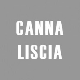 Canna Liscia