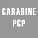 Carabine PCP