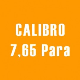 Munizioni cal 7,65 Para